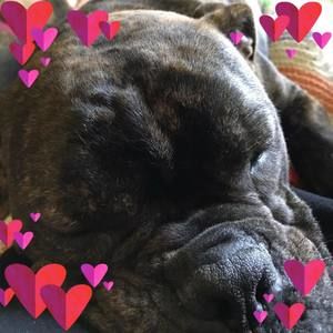 Meet your Posher, Gerri